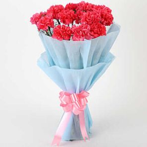 10 Adorable Pink Carnations Bouquet