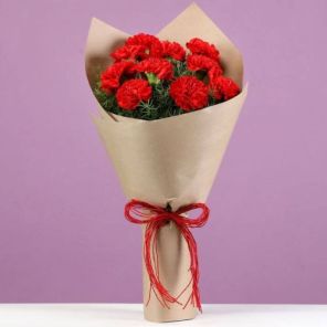 10 Charming Red Carnations Bouquet
