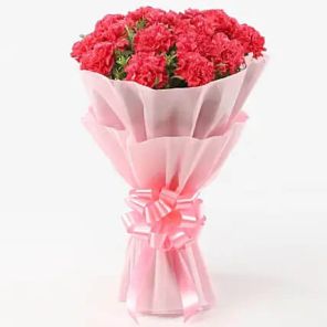 10 Majestic Pink Carnations Bouquet