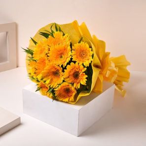 10 Yellow Sunshine Gerberas