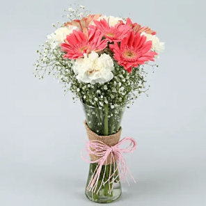 5 Gerberas and 5 White Carnations Bunch