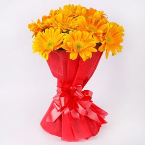 8 Splashy Gerberas