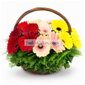 12 Gerberas Basket