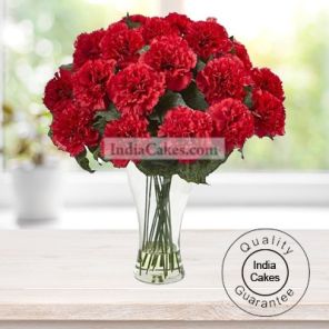 12 RED CARNATIONS WITH GLASS VASE